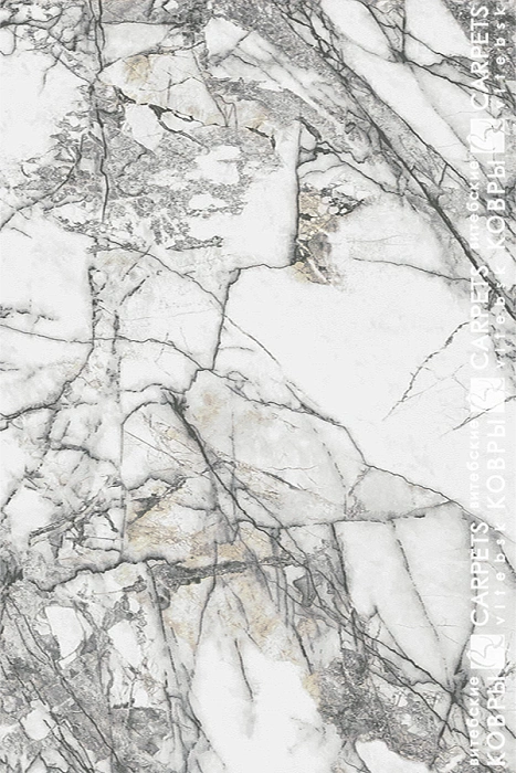 «Антрацит» 8418 b3