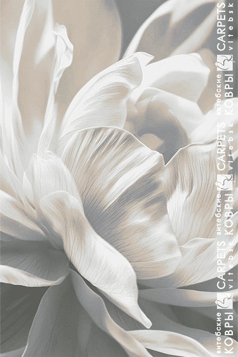 «Антрацит» 8388 a5