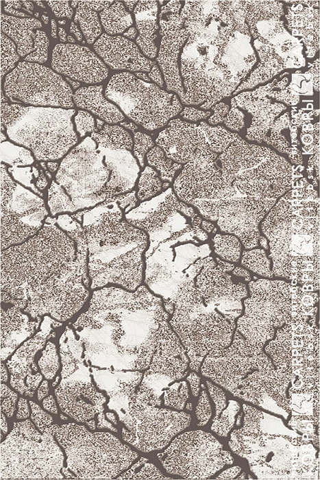 «Феличита» 8256 c5