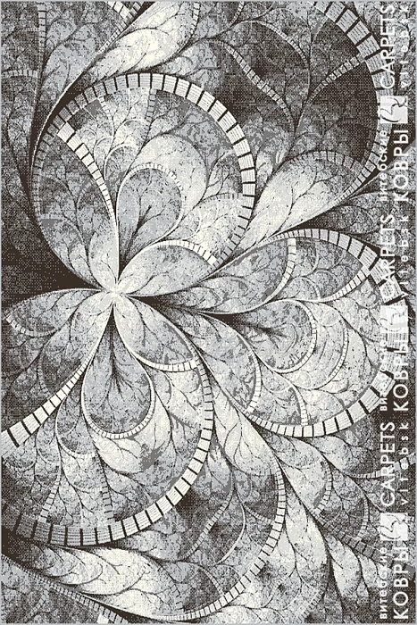 «Орландо» 5877 a5