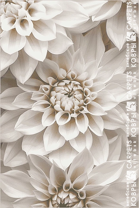 «Феличита» 8231 a4