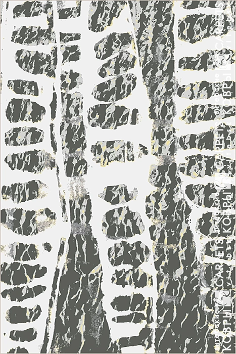 «Антрацит» 8436 a6