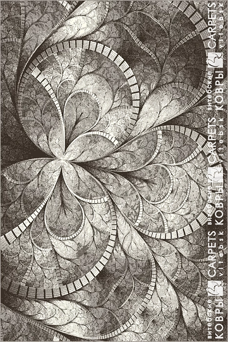 «Орландо» 5877 b5